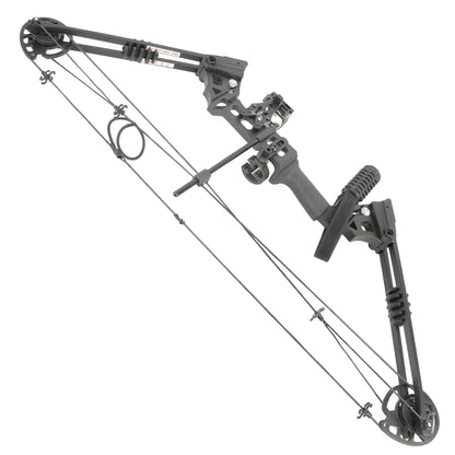 JUNXING X8 Hunting Compound Bow 0-70lbs AAA Archery&Armor