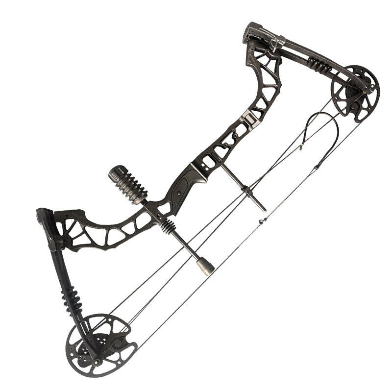 Compound Bow Carbon Arrows Set Hunting 30-70lbs AAA Archery&Armor