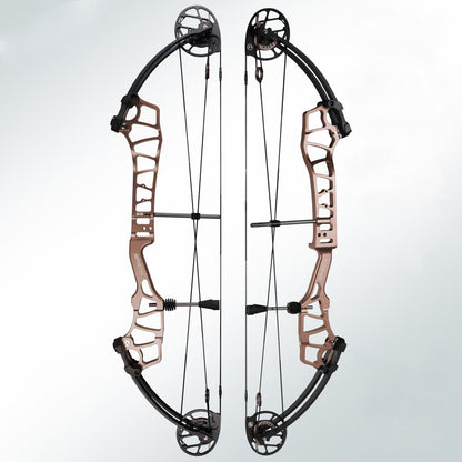 TOPOINT BRETH 36 Target Compound Bow AAA Archery&Armor