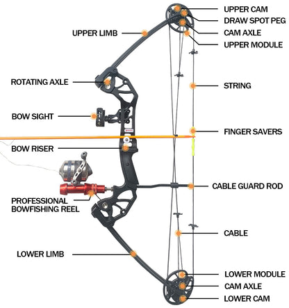 PANDARUS Pan L2 Adult Compound Bow for bowfishing and hunting