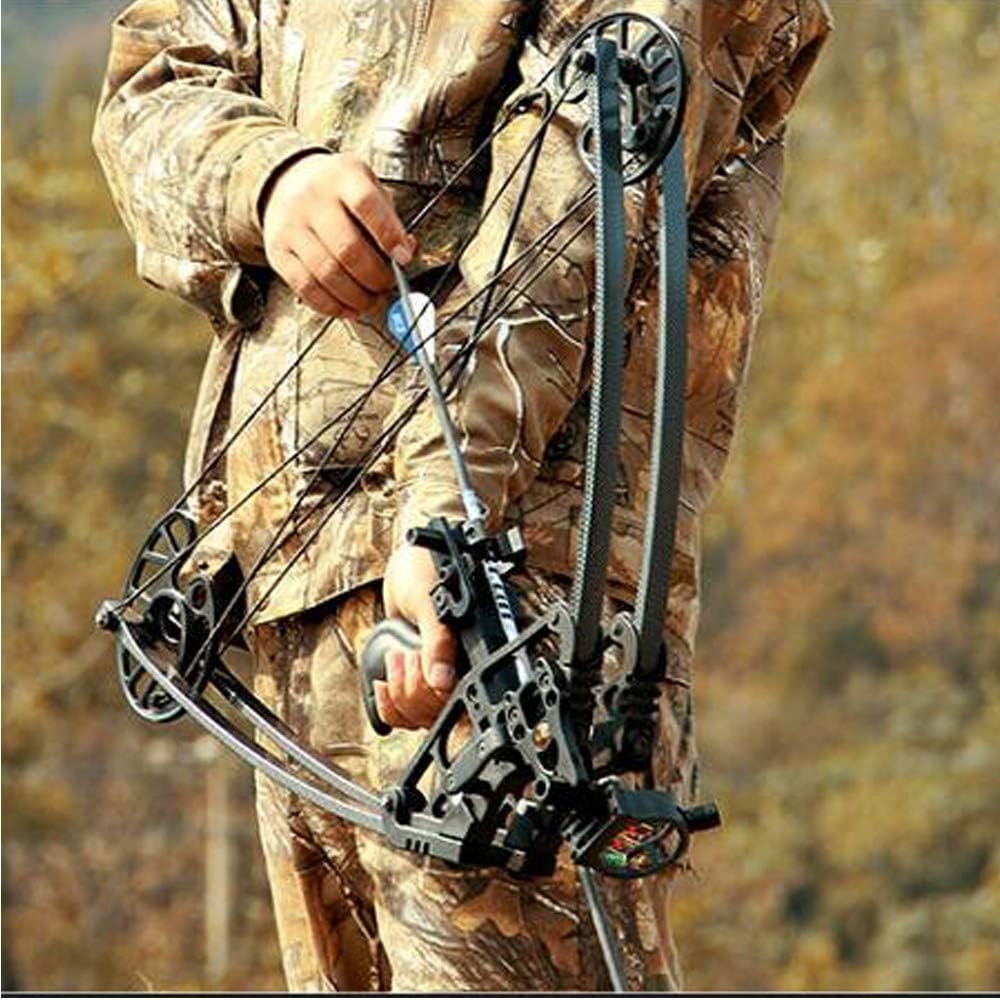 Archery Triangle Compound Bow Hunting Fishing Equipment AAA Archery&Armor